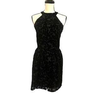 Paper Crane black velour dress